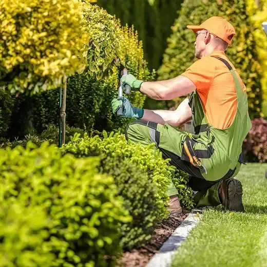 Jardinagem e Paisagismo