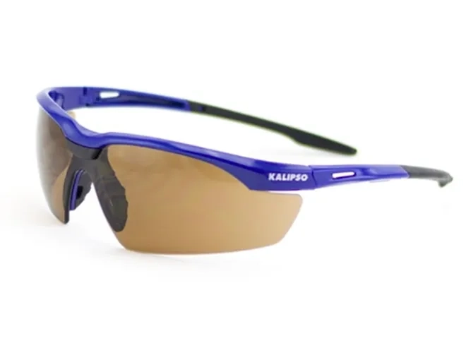 Óculos de Proteção Kalipso Veneza Esportivo CA 35157 Com Apoio Nasal