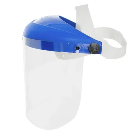 Protetor Facial Pro Vision "8 CS Incolor Delta Plus Ajuste Simples WPS0718 Ca 14197
