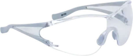 Óculos de Segurança Delta Plus Egon Clear Antiembaçante e Antirrisco UV-400 EGONGRIN CA 38175
